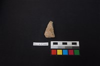 藏品(陶片)的圖片