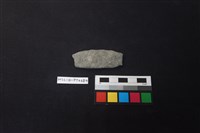 藏品(陶片)的圖片