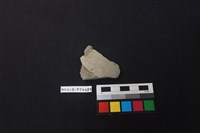 藏品(陶片)的圖片