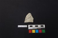 藏品(陶片)的圖片