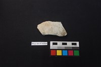 藏品(陶片)的圖片