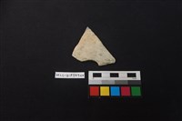 藏品(陶片)的圖片