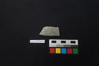 藏品(陶片)的圖片