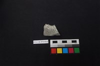 藏品(陶片)的圖片