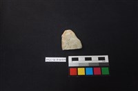 藏品(陶片)的圖片