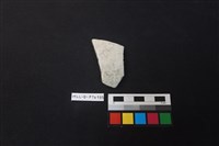 藏品(陶片)的圖片