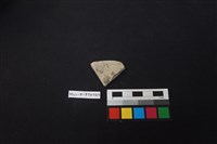 藏品(陶片)的圖片