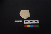 藏品(陶片)的圖片