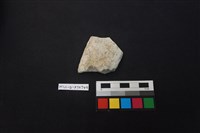 藏品(陶片)的圖片