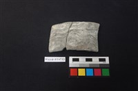 藏品(陶片)的圖片