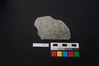 藏品(陶片)的圖片