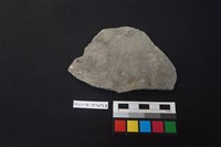 藏品(陶片)的圖片