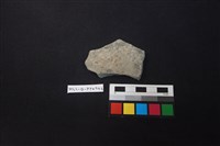 藏品(陶片)的圖片