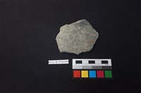 藏品(陶片)的圖片