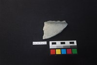 藏品(陶片)的圖片