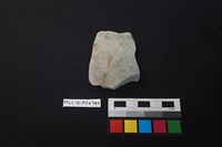 藏品(陶片)的圖片