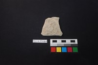 藏品(陶片)的圖片