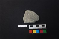 藏品(陶片)的圖片