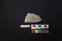 藏品(陶片)的圖片