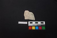 藏品(陶片)的圖片