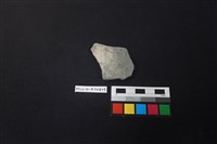 藏品(陶片)的圖片