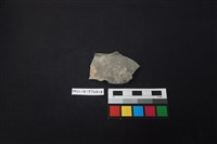 藏品(陶片)的圖片