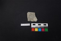 藏品(陶片)的圖片