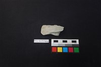 藏品(陶片)的圖片