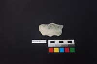 藏品(陶片)的圖片