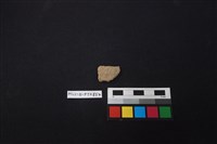 藏品(陶片)的圖片