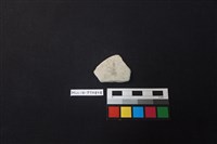 藏品(陶片)的圖片