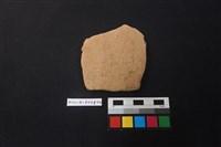 藏品(陶片)的圖片