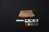 藏品(陶片)的圖片