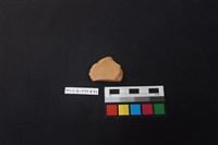 藏品(陶片)的圖片