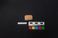 藏品(陶片)的圖片