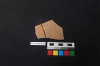 藏品(陶片)的圖片