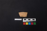 藏品(陶片)的圖片