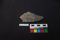 藏品(陶片)的圖片