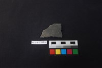 藏品(陶片)的圖片