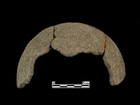 藏品(陶缽)的圖片