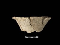 藏品(陶罐)的圖片