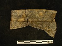 藏品(陶片)的圖片