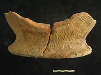 藏品(陶罐)的圖片