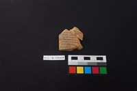 藏品(硬陶片)的圖片