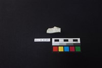 藏品(瓷片)的圖片