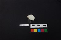 藏品(瓷碗)的圖片