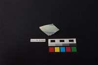 藏品(瓷片)的圖片