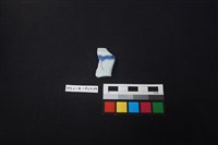 藏品(瓷片)的圖片