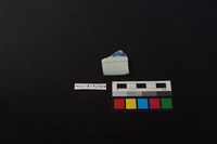 藏品(瓷片)的圖片