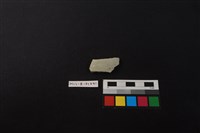 藏品(瓷片)的圖片